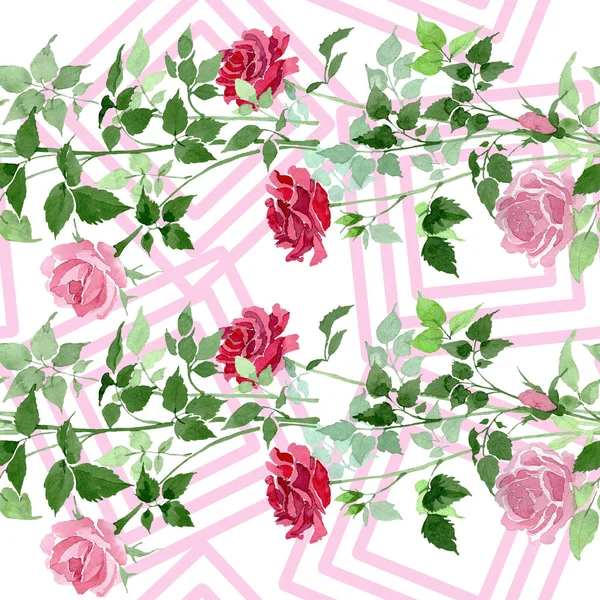 ピンクと赤のブッシュ バラ植物花。水彩画背景イラスト セット。シームレスな背景パターン. — ストック写真