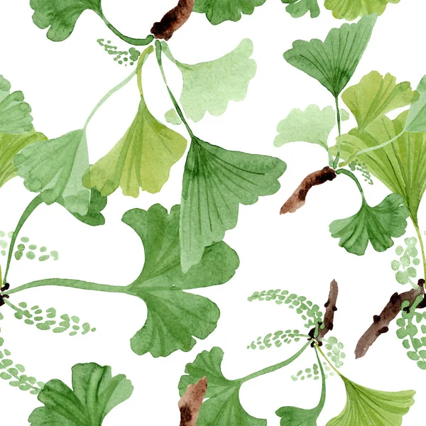 Ginkgo biloba hojas verdes. Conjunto de ilustración de fondo acuarela. Patrón de fondo sin costuras . — Foto de Stock