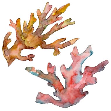 Kırmızı ve sarı su sualtı doğa mercan kayalığı. Suluboya arka plan ayarlamak. Mercan illüstrasyon izole öğesi.