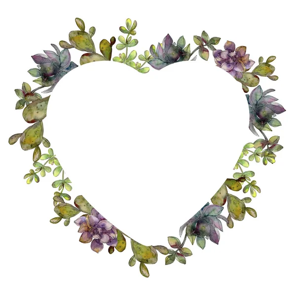 Dschungel botanische Sukkulente Blume. Aquarell Hintergrundillustration Set. Rahmen Rand Ornament Quadrat. — Stockfoto