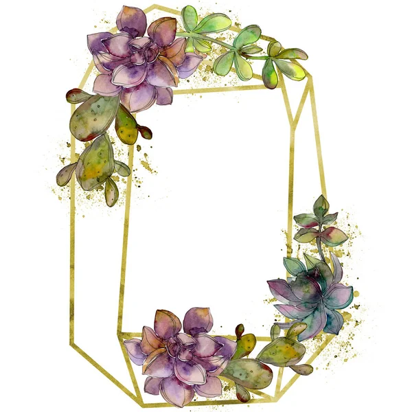 Flor suculenta botânica da selva. Conjunto de ilustração de fundo aquarela. Quadro borda cristal ornamento quadrado . — Fotografia de Stock