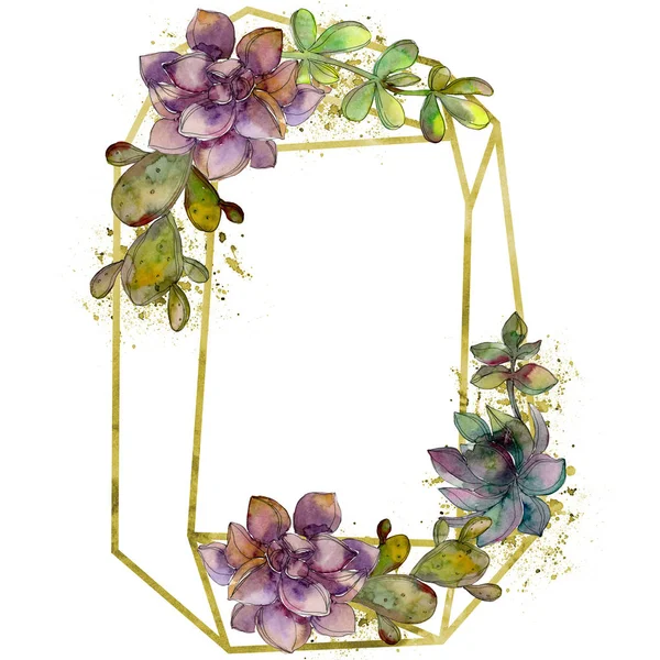 Flor suculenta botánica de la selva. Conjunto de ilustración de fondo acuarela. Marco borde cristal ornamento cuadrado . — Foto de Stock