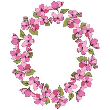 Vektör pembe elma çiçeği botanik çiçek. Oyulmuş mürekkep sanat. Çerçeve kenarlığı süsleme kare beyaz arka plan üzerinde.