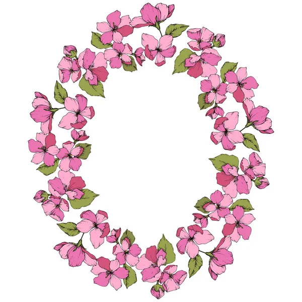 Vektor rosa Apfelblüte florale botanische Blume. Tuschebilder. Rahmen Rand Ornament Quadrat auf weißem Hintergrund. — Stockvektor