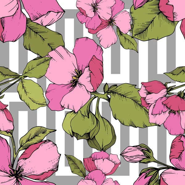 Vector rosa flor de manzana floral flor botánica. Arte de tinta grabada. Patrón de fondo sin costuras . — Vector de stock