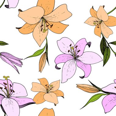 Vektör Lily botanik çiçek. Oyulmuş mürekkep sanat. Sorunsuz arka plan deseni. Kumaş duvar kağıdı yazdırma doku.
