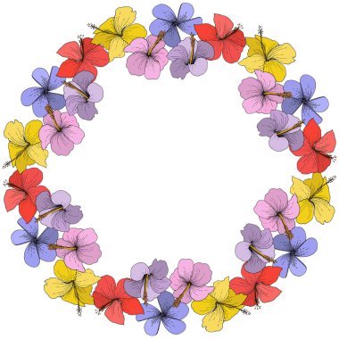 Vektör Hibiscus çiçek tropik çiçekler. Beyaz arka plan üzerinde oyulmuş mürekkep sanat. Çerçeve kenarlığı süsleme Meydanı.