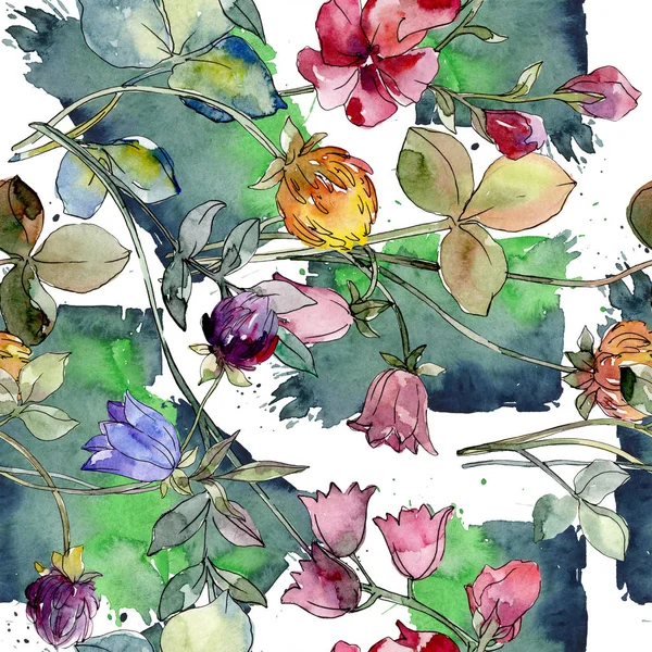 Polne kwiaty drukowane kwiat kwiatowy botaniczny. Zestaw ilustracji tle akwarela. Bezszwowe tło wzór. — Zdjęcie stockowe