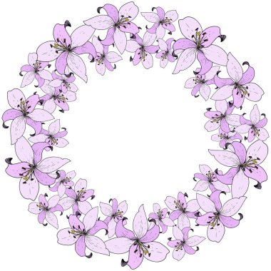 Vektör Lily botanik çiçek. Vahşi bahar yaprak kır çiçeği. Oyulmuş mürekkep sanat. Çerçeve kenarlığı süsleme Meydanı.