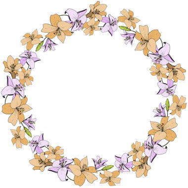 Vektör Lily botanik çiçek. Vahşi bahar yaprak kır çiçeği. Oyulmuş mürekkep sanat. Çerçeve kenarlığı süsleme Meydanı.