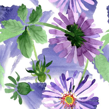 Mavi menekşe Aster çiçek botanik çiçekler. Suluboya arka plan illüstrasyon küme. Sorunsuz arka plan deseni.