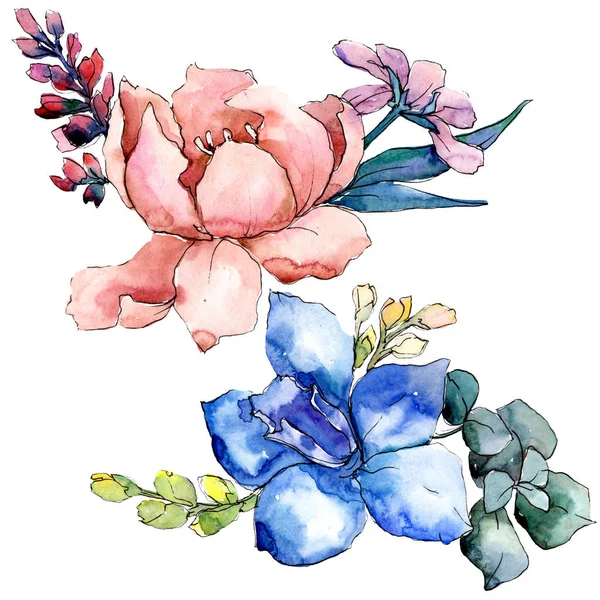 Μπουκέτα λουλουδιών βοτανικό λουλούδι Peony. Σετ ακουαρέλας φόντο. Απομονωμένη μπουκέτο εικονογράφηση στοιχείο. — Φωτογραφία Αρχείου