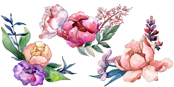 Bouquets de pivoine fleur botanique florale. Ensemble de fond aquarelle. Elément d'illustration de bouquet isolé . — Photo