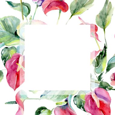 Pembe spatifilyum çiçek botanik çiçekler. Suluboya arka plan illüstrasyon küme. Çerçeve kenarlığı süsleme Meydanı.