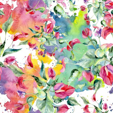 Pembe spatifilyum çiçek botanik çiçekler. Suluboya arka plan illüstrasyon küme. Sorunsuz arka plan deseni.