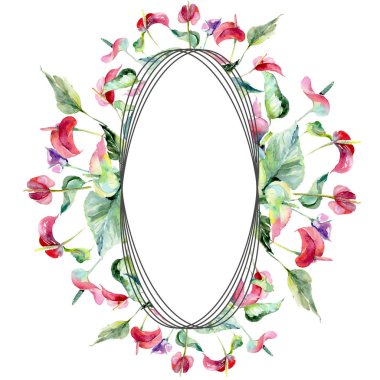 Pembe spatifilyum çiçek botanik çiçekler. Suluboya arka plan illüstrasyon küme. Çerçeve kenarlığı süsleme Meydanı.