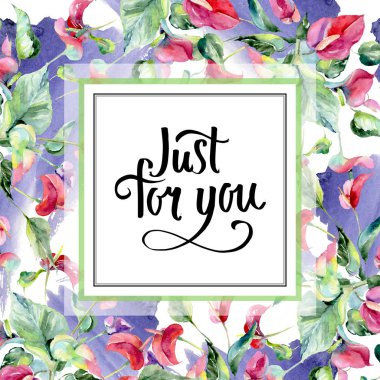 Pembe spatifilyum çiçek botanik çiçekler. Suluboya arka plan illüstrasyon küme. Çerçeve kenarlığı süsleme Meydanı.