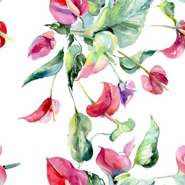 Pembe spatifilyum çiçek botanik çiçekler. Suluboya arka plan illüstrasyon küme. Sorunsuz arka plan deseni.