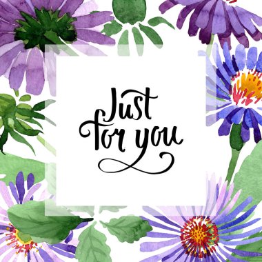 Mavi menekşe Aster botanik çiçek. Suluboya arka plan illüstrasyon küme. Çerçeve kenarlığı süsleme Meydanı.