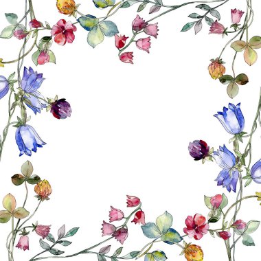 Kır çiçekleri botanik çiçek yazdırın. Suluboya arka plan illüstrasyon küme. Çerçeve kenarlığı süsleme Meydanı.