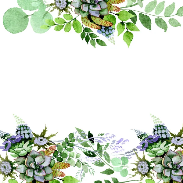 Sappig boeket bloemen botanische bloemen. Aquarel achtergrond afbeelding instellen. Frame grens ornament vierkant. — Stockfoto