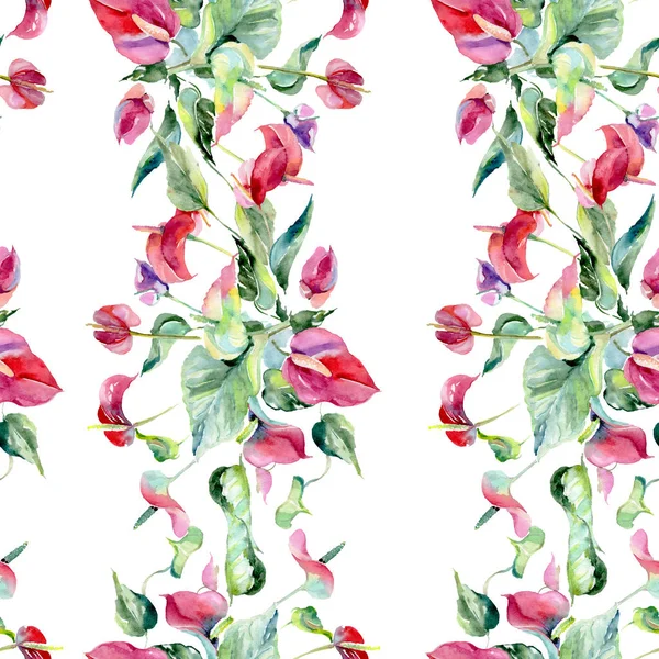 Rosafarbene Spathiphyllum-Blüten. Aquarell Hintergrundillustration Set. nahtloses Hintergrundmuster. — Stockfoto