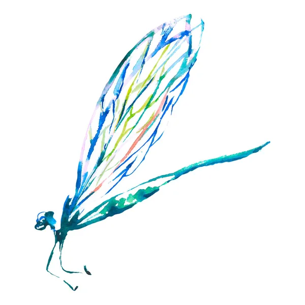 Εξωτικά dragonfly άγριων εντόμων σε στυλ υδροχρώματος απομονωμένη. Ακουαρέλα άγρια έντομα για φόντο. — Φωτογραφία Αρχείου