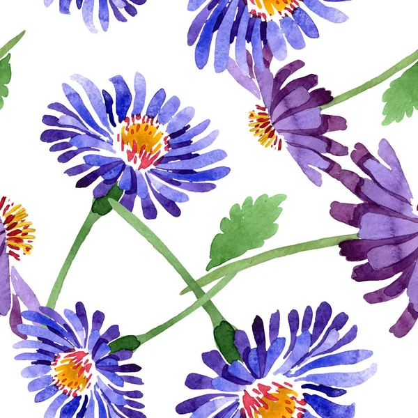 Botaniczny kwiat kwiatowy niebieski fioletowy Astry. Zestaw ilustracji tle akwarela. Bezszwowe tło wzór. — Zdjęcie stockowe