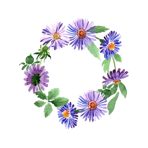 Modré fialové Astry květinové botanické květin. Sada akvarel pozadí obrázku. Frame hranice ozdoba náměstí. — Stock fotografie