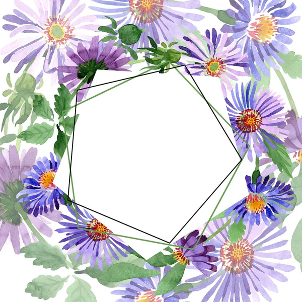 Bleu violet asters fleur botanique. Ensemble d'illustration de fond aquarelle. Cadre bordure cristal ornement carré . — Photo