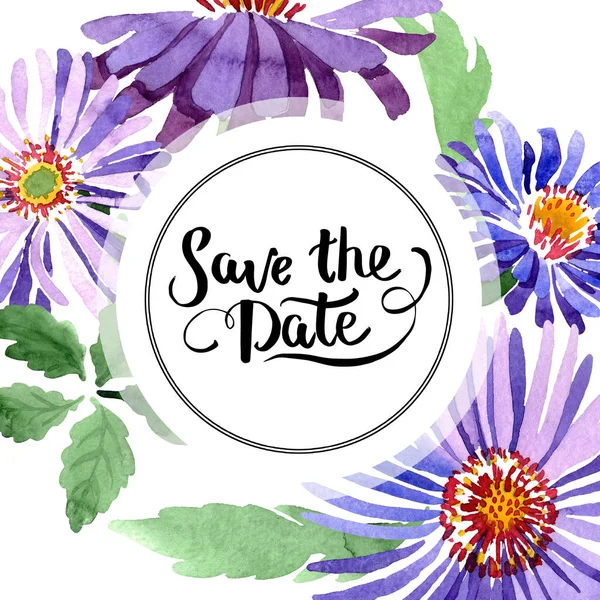 Blue violet asters floral botanical flower. Conjunto de ilustración de fondo acuarela. Marco borde ornamento cuadrado . —  Fotos de Stock