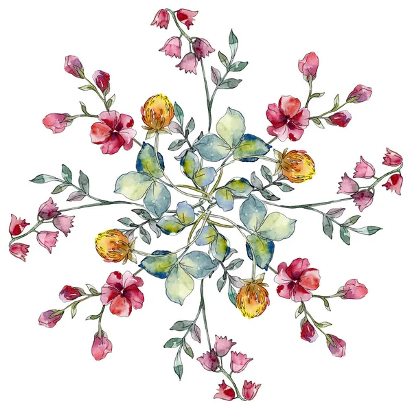 Polne kwiaty drukowane kwiat kwiatowy botaniczny. Zestaw ilustracji tle akwarela. Tło wzór. — Zdjęcie stockowe