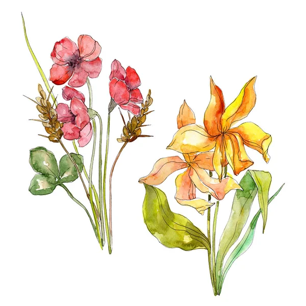 Wildflower bouquet floral botanical flowers. Watercolor background set. Isolated wildflower illustration element. — Stock Photo, Image