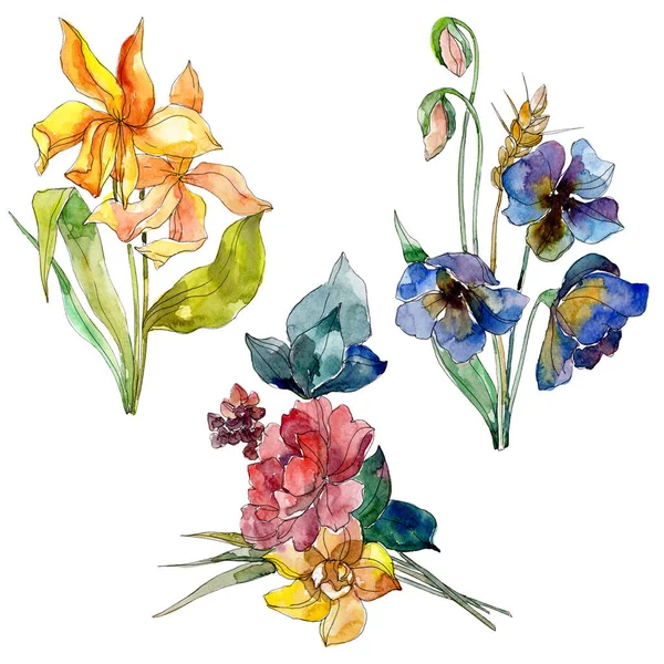 Ramo de flores silvestres flores botánicas florales. Conjunto de fondo acuarela. Elemento aislado de ilustración de flores silvestres . — Foto de Stock