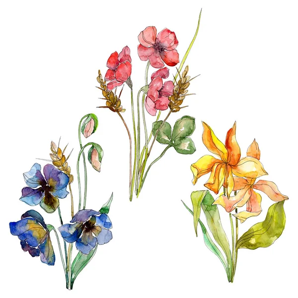 Buquê de flores silvestres flores botânicas florais. Conjunto de fundo aquarela. Isolado elemento ilustração wildflower . — Fotografia de Stock
