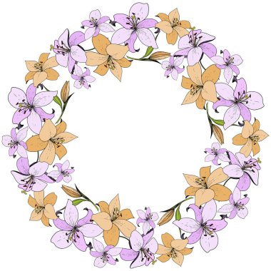 Vektör Lily botanik çiçek. Vahşi bahar yaprak kır çiçeği. Oyulmuş mürekkep sanat. Çerçeve kenarlığı süsleme Meydanı.