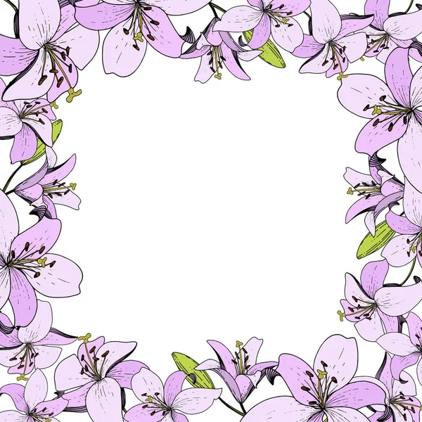 Διάνυσμα floral βοτανικό λουλούδι κρίνων. Άγρια άνοιξη φύλλων wildflower. Χαραγμένο μελάνι τέχνης. Πλαίσιο συνόρων στολίδι τετράγωνο. — Διανυσματικό Αρχείο