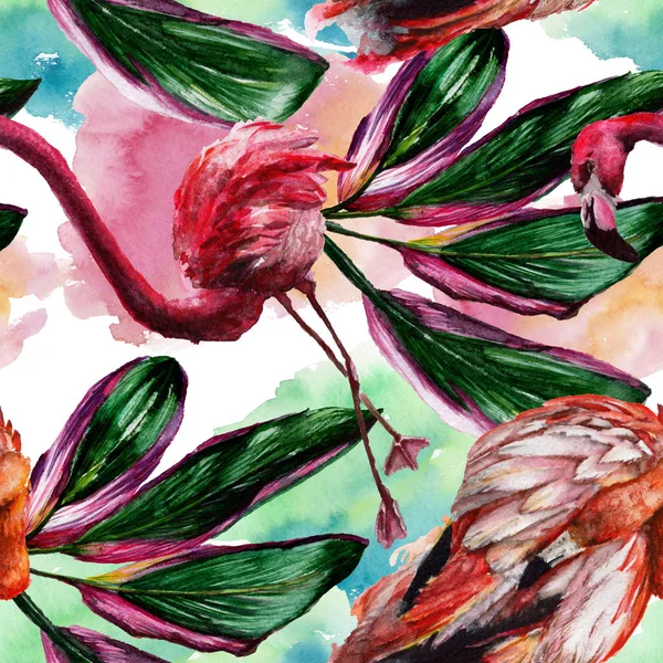 Экзотический красный фламинго в дикой природе изолированы. Набор акварельных фонов. Бесшовный рисунок фона . — стоковое фото