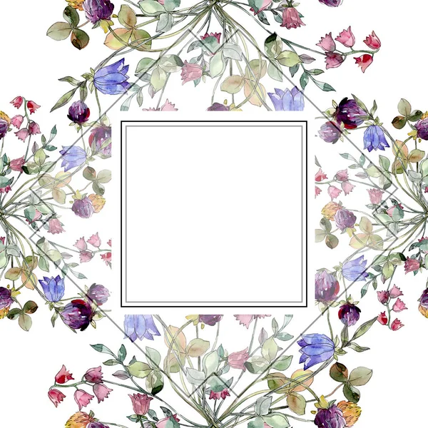 Kır çiçekleri botanik çiçek yazdırın. Suluboya arka plan illüstrasyon küme. Çerçeve kenarlığı süsleme Meydanı. — Stok fotoğraf