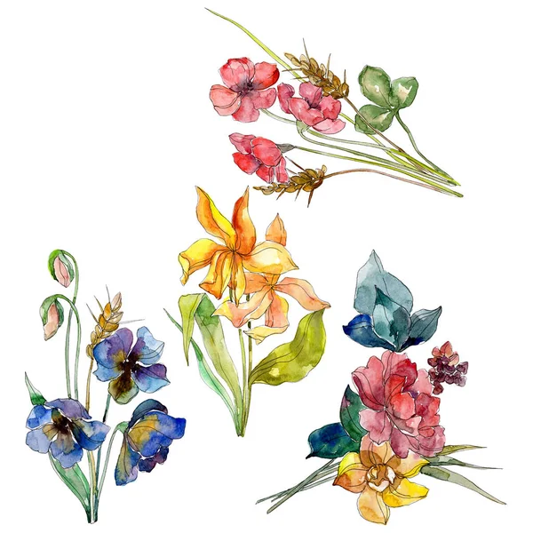 Vadvirág csokor virág botanikai virágok. Akvarell háttér beállítása. Elszigetelt vadvirág ábra elem. — Stock Fotó