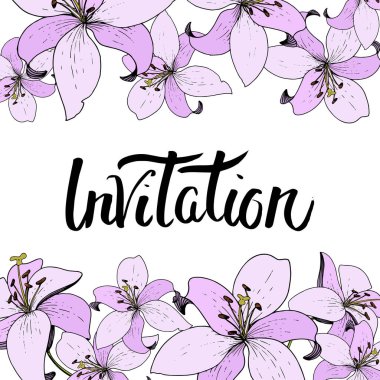 Vektör Lily botanik çiçek. Vahşi bahar yaprak kır çiçeği. Oyulmuş mürekkep sanat. Çerçeve kenarlığı süsleme Meydanı.