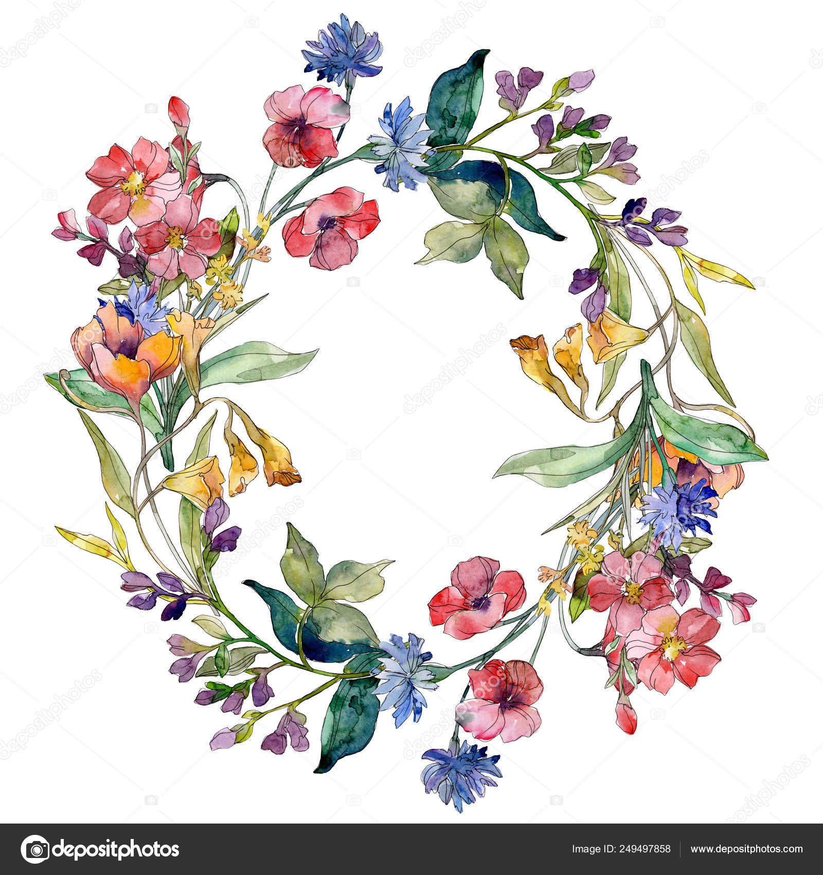 ワイルドフラワーの花束花植物花 水彩画背景イラスト セット フレーム枠飾りスクエア ストック写真 C Mystocks ワイルドフラワーの花束花植物花 水彩画背景イラスト セット フレーム枠飾りスクエア ストック写真 C Mystocks