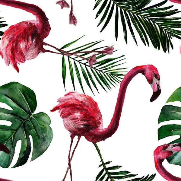 Flamingo vermelho exótico em uma vida selvagem isolada. Conjunto de ilustração de fundo aquarela. Padrão de fundo sem costura . — Fotografia de Stock