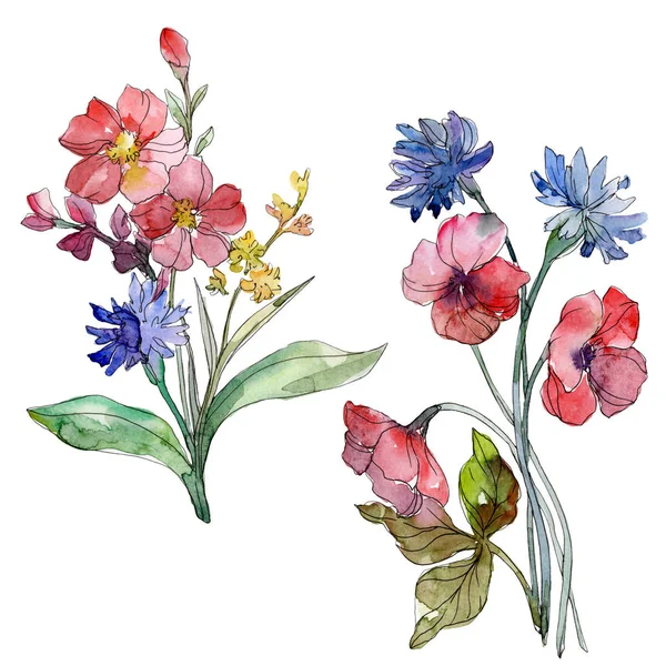 Wildflower kytice květinové botanické květin. Sada akvarel zázemí. Prvek ilustrace izolované kvítí. — Stock fotografie