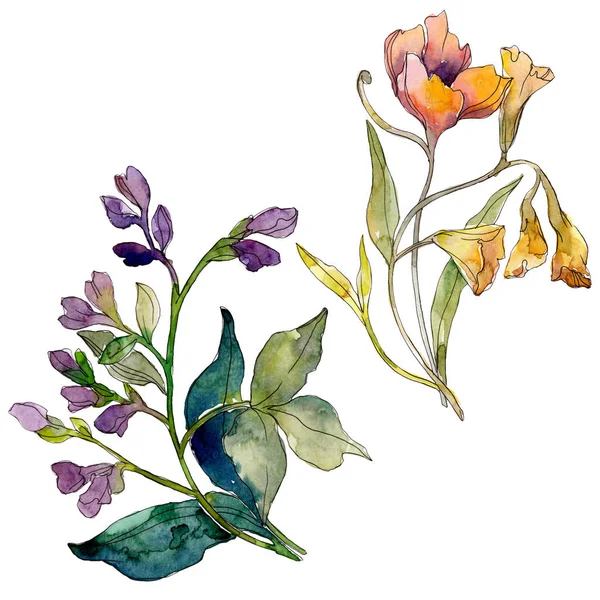 Buquê de flores silvestres flores botânicas florais. Conjunto de fundo aquarela. Elemento de ilustração de flores silvestres isoladas . — Fotografia de Stock