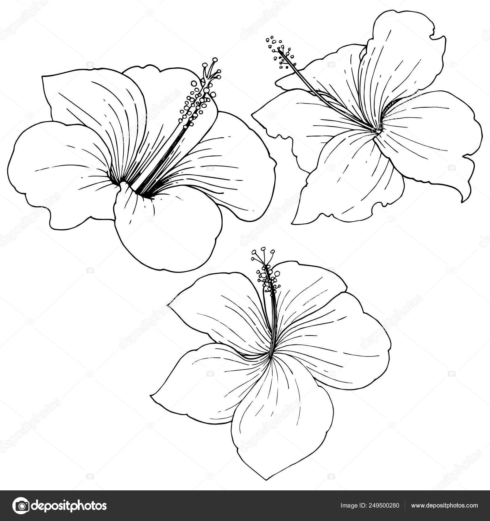 4179ストックベクター ロイヤリティフリー4179イラスト ページ 2 Depositphotos