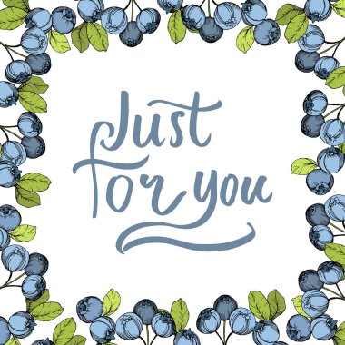 Vektör Blueberry mavi ve yeşil mürekkep sanat kazınmış. Çilek ve yeşil yaprakları. Çerçeve kenarlığı süsleme Meydanı.