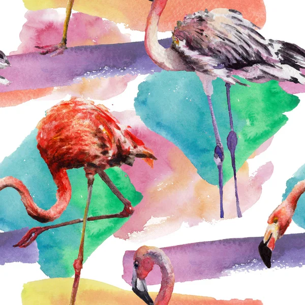 Exotischer roter Flamingo in einer isolierten Tierwelt. Aquarell Hintergrundillustration Set. nahtloses Hintergrundmuster. — Stockfoto