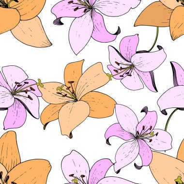 Vektör Lily botanik çiçek. Oyulmuş mürekkep sanat. Sorunsuz arka plan deseni. Kumaş duvar kağıdı yazdırma doku.