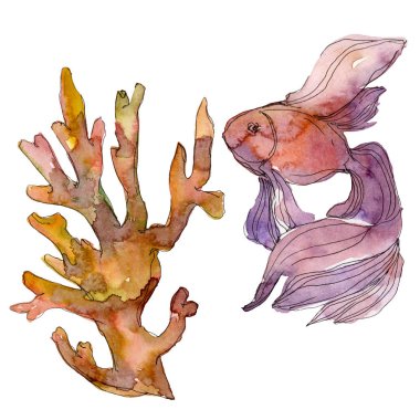 Kırmızı ve sarı su sualtı doğa mercan kayalığı. Suluboya arka plan ayarlamak. Mercan illüstrasyon izole öğesi.